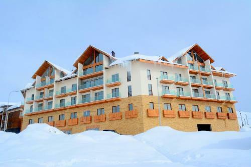 Andro's Apartment In New Gudauri