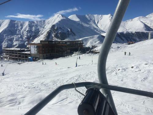 Apartment N318 Gudauri Loft