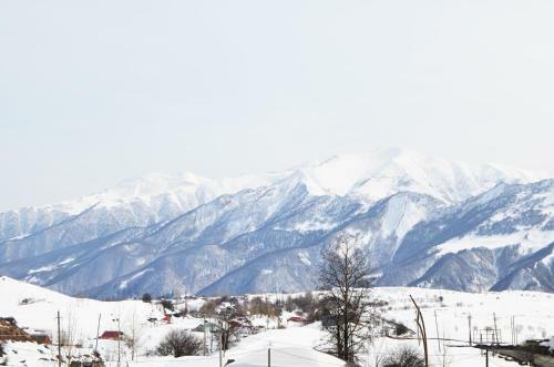 Apartamento Cozy Studio In Gudauri