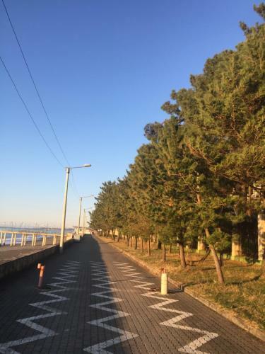 Kobuleti Apartment Rustaveli 136a