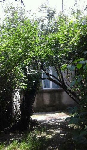 Apartamento Telavi Night