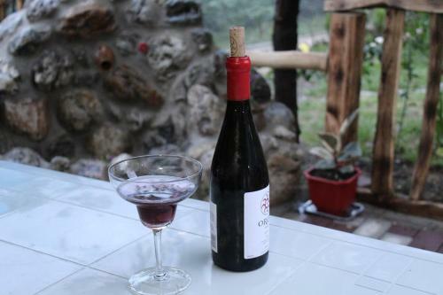 Hostal Guest House Poligloti