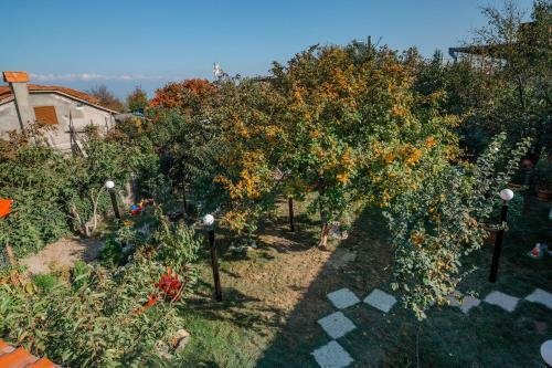 Hostal Guest House Poligloti