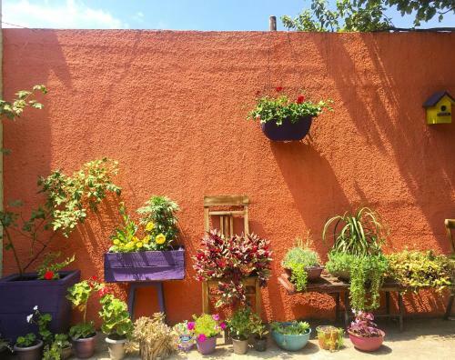 Hostal Bude