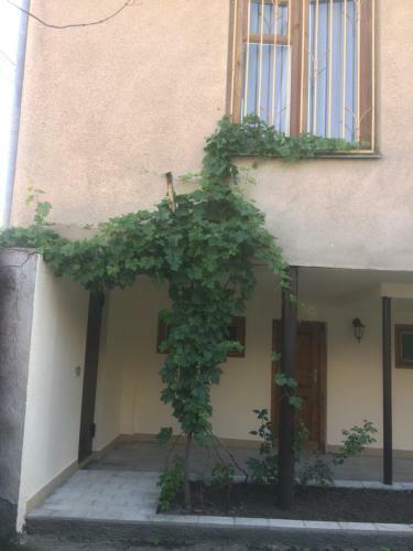 Hostal Guest House Kartuli Suli