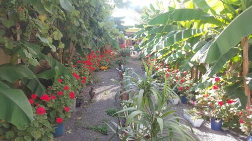 Hostal Guest House Cico