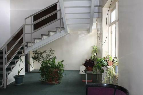 Hotel Lizi