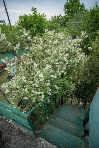 Apartamento Zandukeli Inn