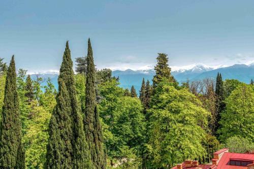 Radisson Collection Hotel, Tsinandali Estate Georgia