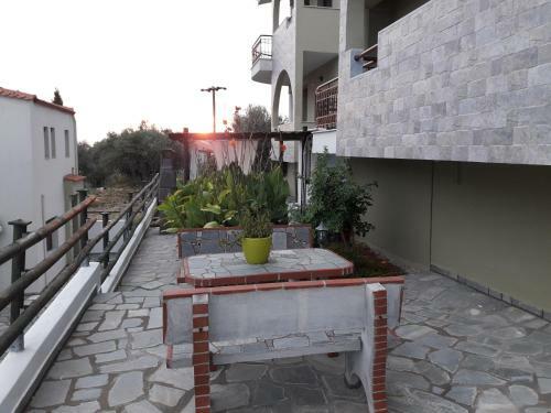 Villa Oliva