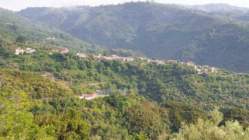 Alagonia Country Homes