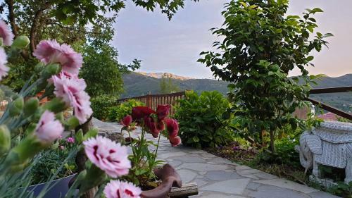 Alagonia Country Homes