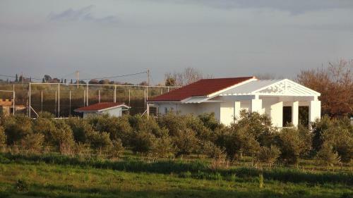 White Villas