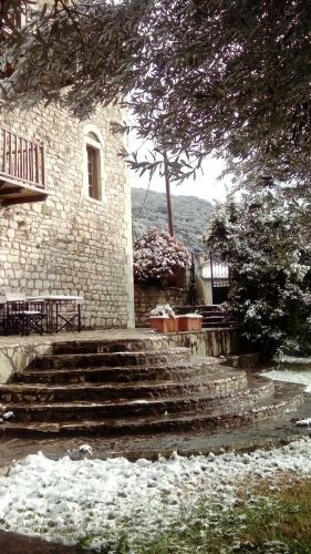 Hostal Theoni's House