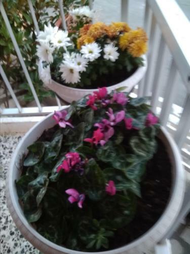 Apartamento Vila Manthos