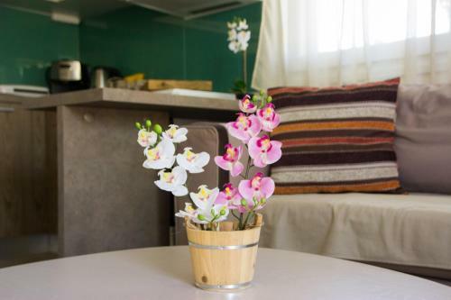 Apartamento My Erofili