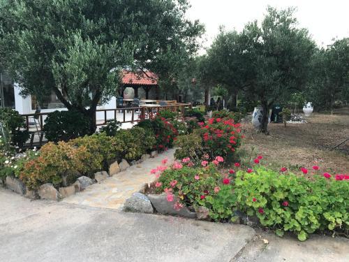 Hotel Tholos Rooms