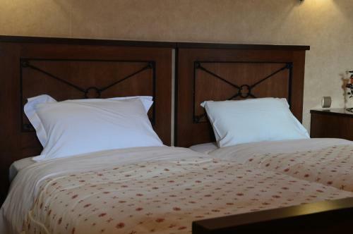 Hotel Pleiades