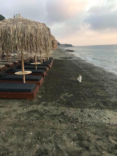 Hostal La Playa Boutique Apartments
