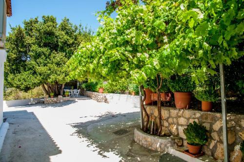 Apartamento Thimios Rooms