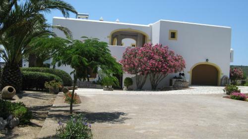 Apartamentos Cerigo House
