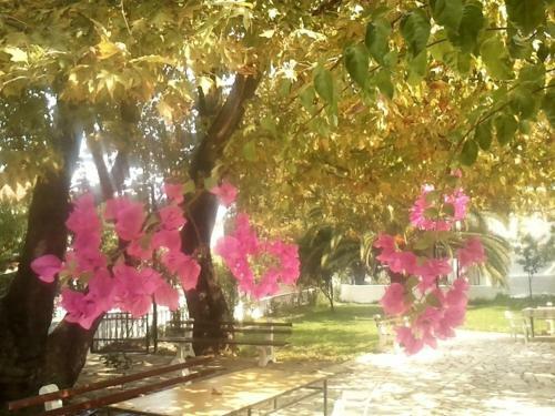 Hostal Guesthouse Kalypso
