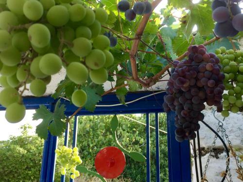 Agroturismo Kali Thea