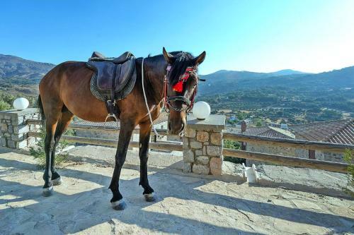 Holiday Home Kissos - Her02073-f