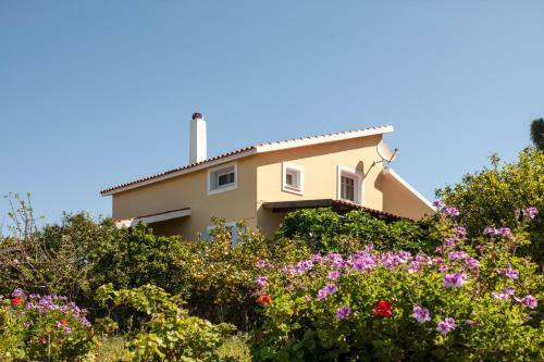Aelia Villa