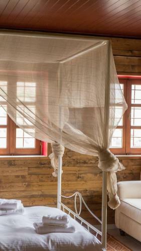 Hostal Pinocchio Mikro Papigo
