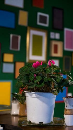 Hostal Pinocchio Mikro Papigo