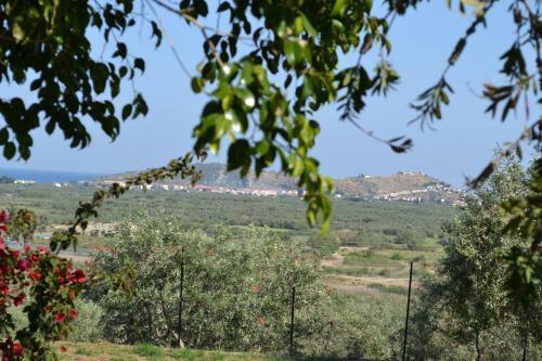 Apartamento Dimitras House