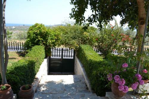 Apartamento Dimitras House