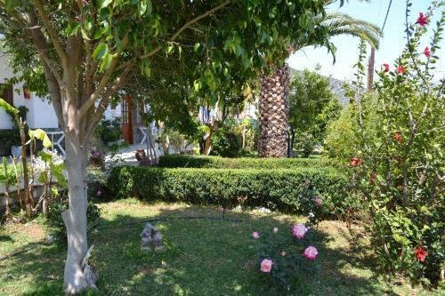 Apartamento Dimitras House