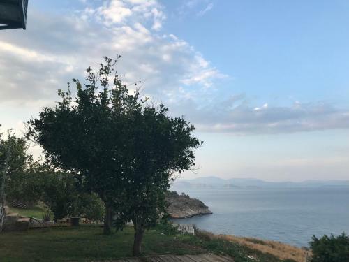 Villa Castle Sea View