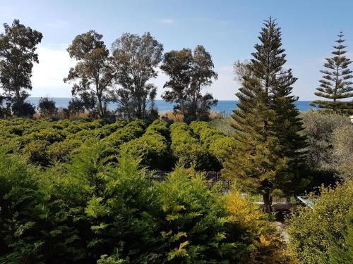 Anna's Villas By The Sea