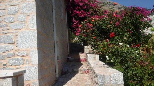 Apartamento Mani Sofia Green Villa