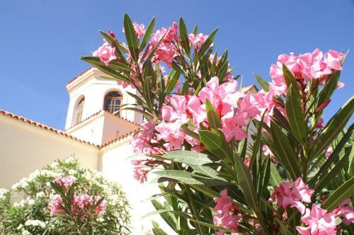 Villa Kamares Boutique Spa Apartments