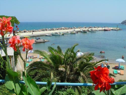 Captain's House Traditional Hotel-apartments & Suites
