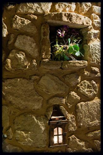 Hostal Camelia Suites