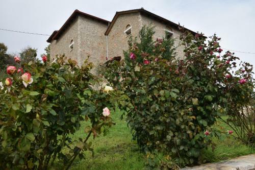Hostal Trikalon Muses Art Suites