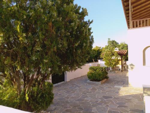 Explore Aegina Island