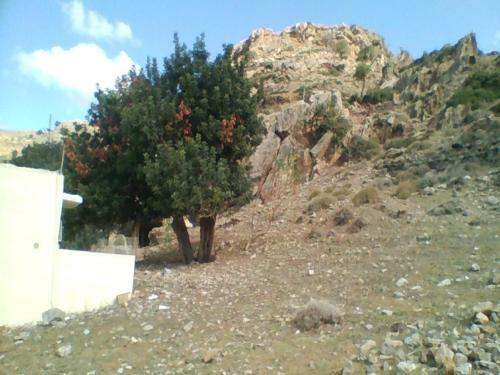 Apartamento Apollon