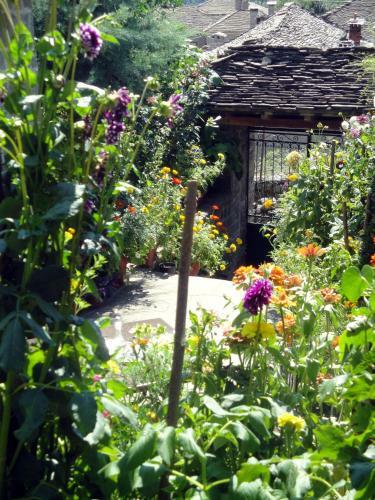 Hostal Guesthouse Gouris