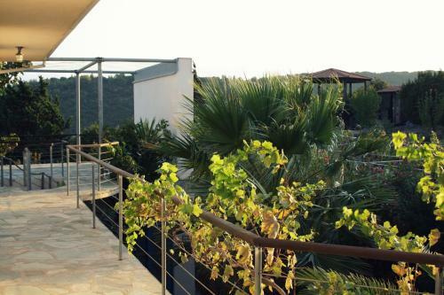 Villa Trizonia House