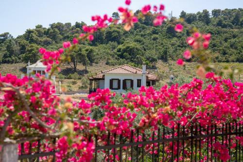 Hostal Mando Beachfront