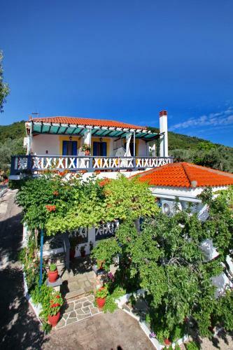 Apartamento Alexandra Sofia