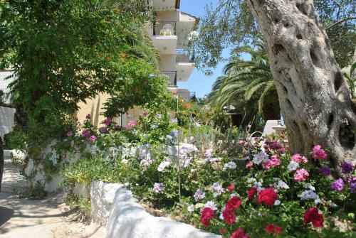 Aparthotel Hotel Helios Splendid