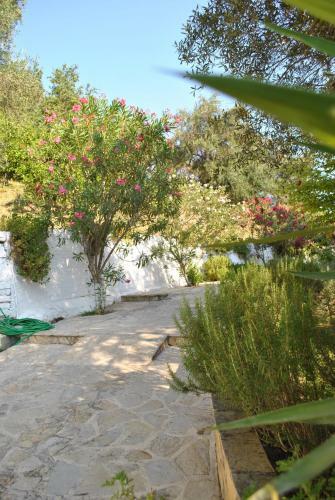 Aparthotel Hotel Helios Splendid