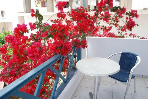 Apartamento Villa Irida